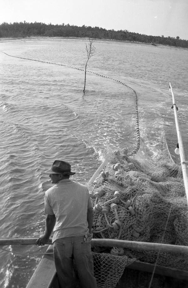 A fisherman laying out a seine net on the Naples shore, 1949